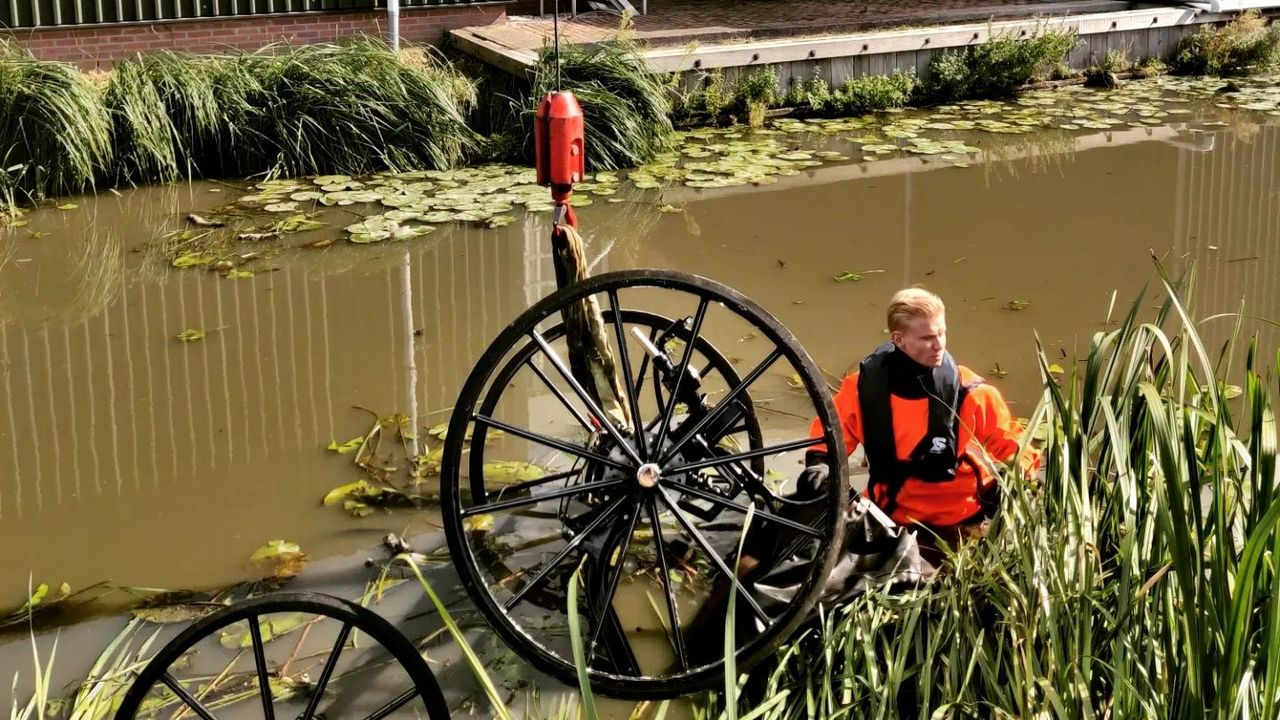 WOS.nl - Paard Belandt Met Rijtuig In Water Bij Ommedijk