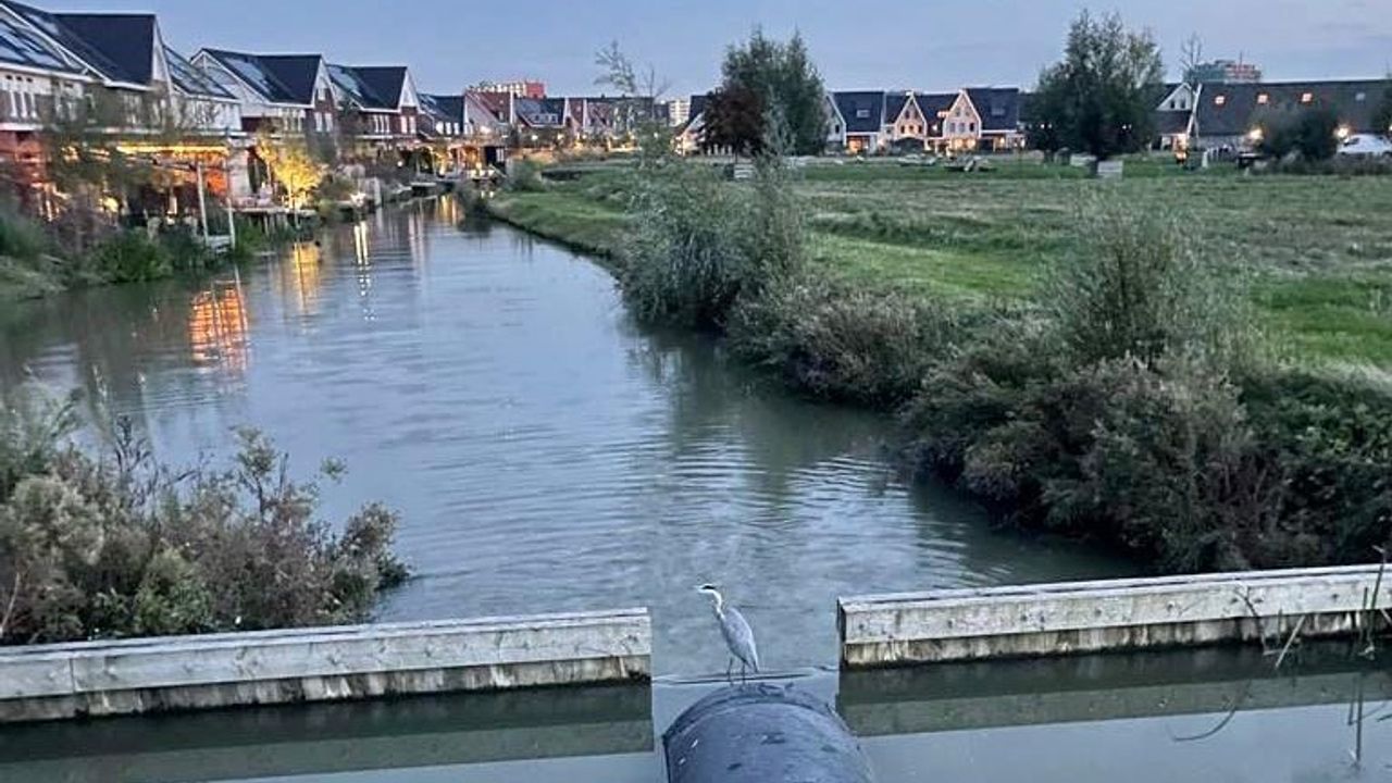 Driekwart inwoners Zuid-Holland vindt dat water de plek van huizen moet bepalen