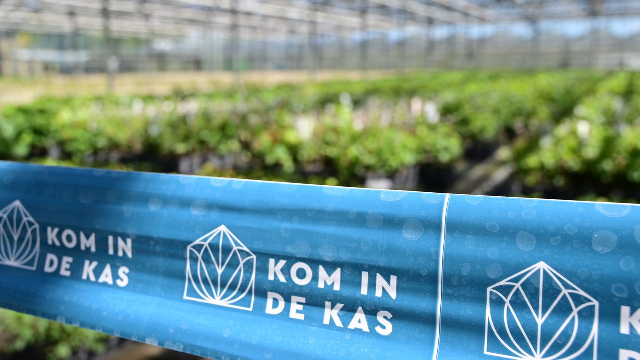 'Tuinbouwgebied Harteveldlaan heeft wkk's, aardwarmte en veel potplanten'