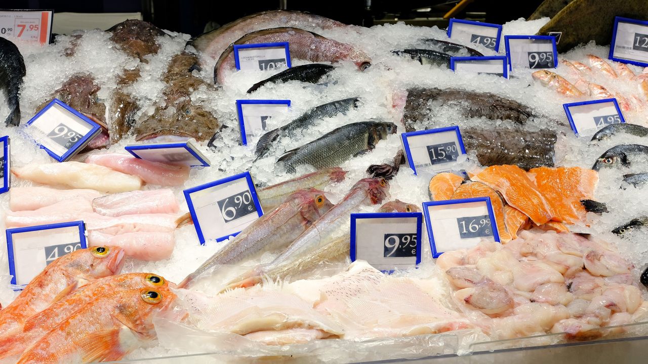 WOS.nl - Nieuwe Viswinkel Just Fish Vestigt In De Lier