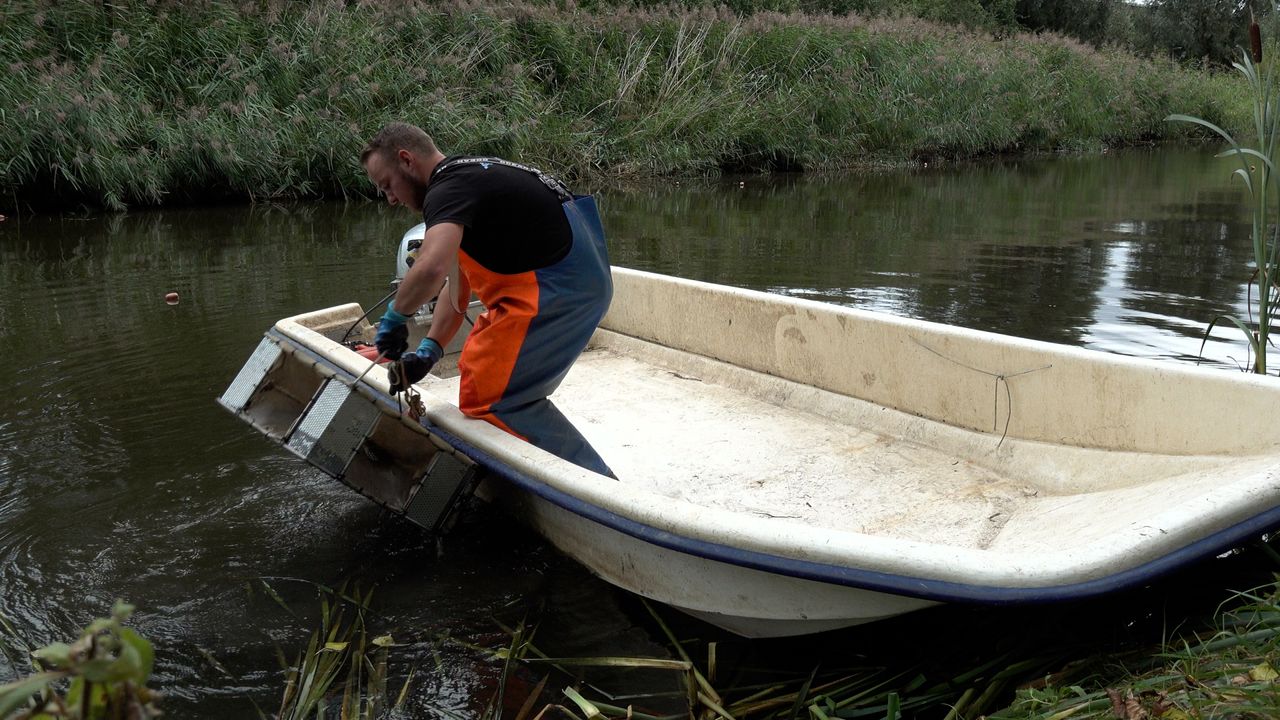 Delfland test nieuwe middelen om rivierkreeften te vangen