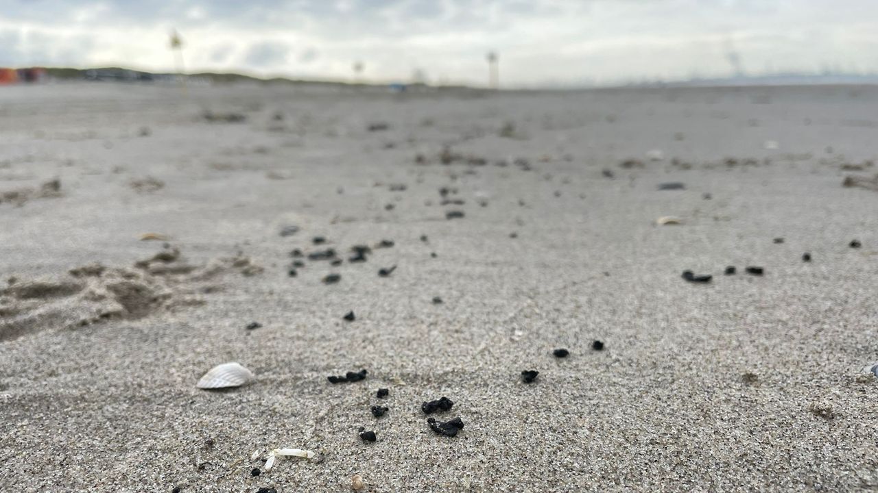 Bolletjes stookolie langs hele Zuid-Hollandse kust