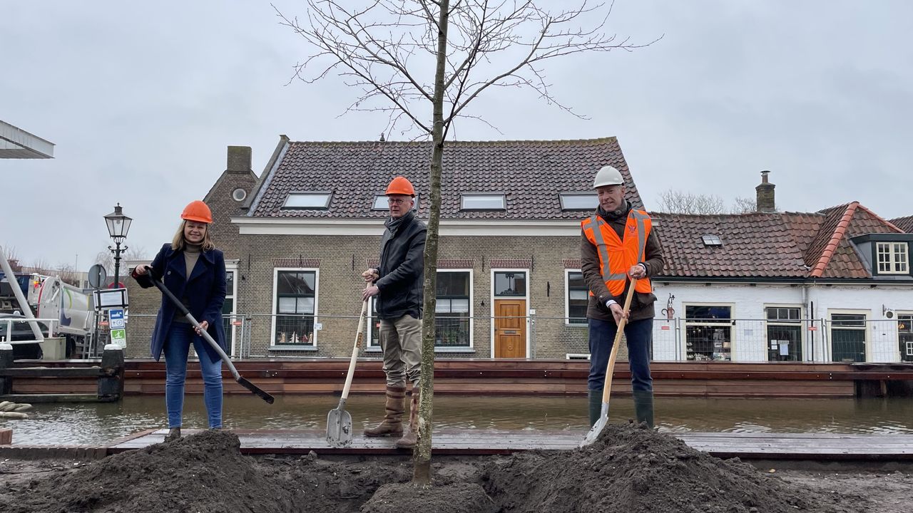 Eerste boom 'teruggeplant' langs nieuwe kade in Schipluiden