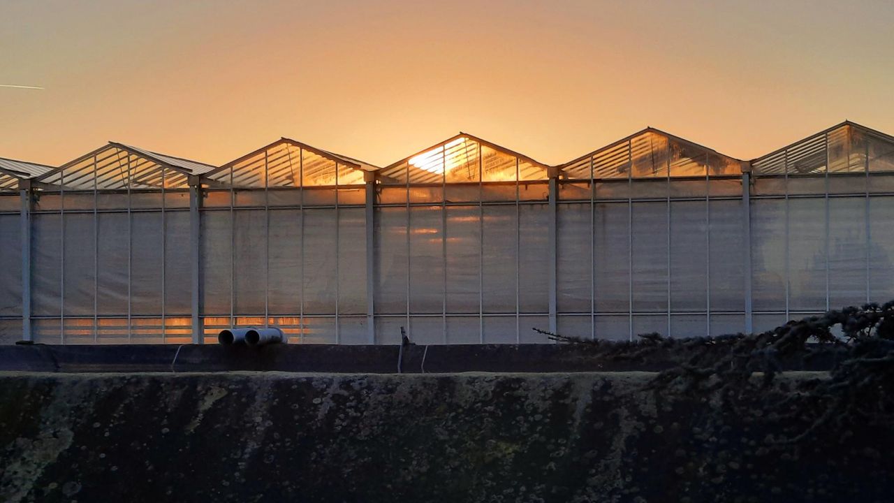 'Glastuinbouw niet over één kam scheren met open teelten'