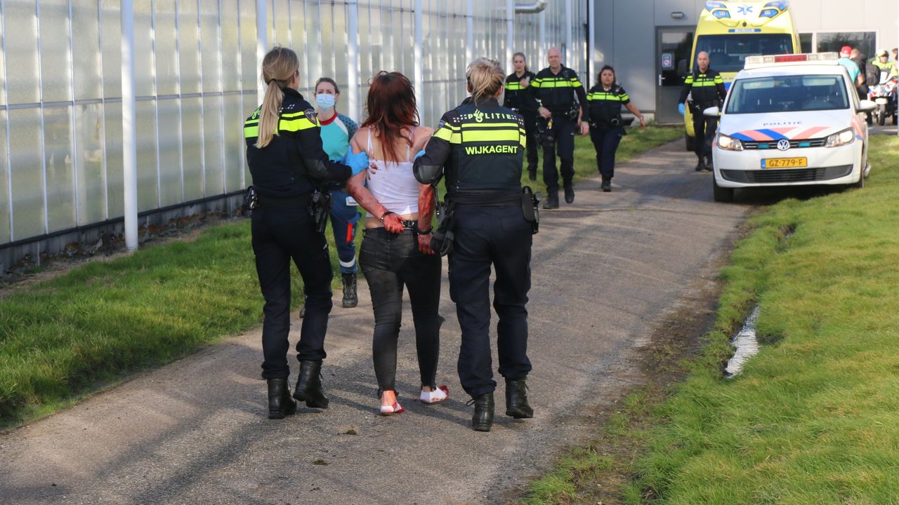 Vijf jaar cel en tbs geëist na dodelijk steekincident Honselersdijk