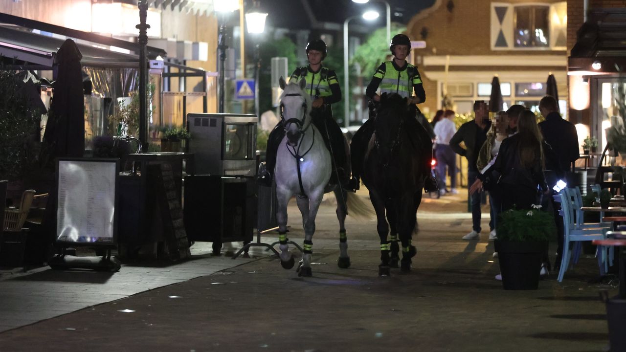 Politie te paard ingezet na onrust 's-Gravenzande