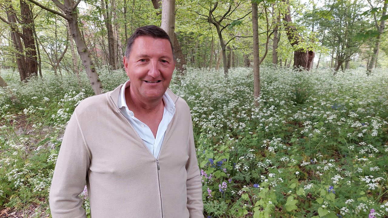 Tuinder uit Naaldwijk koopt bos om te behoeden van kap: 'Er is te weinig groen'