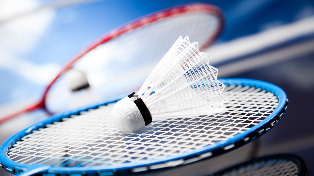 Geen badmintonclub meer in Honselersdijk