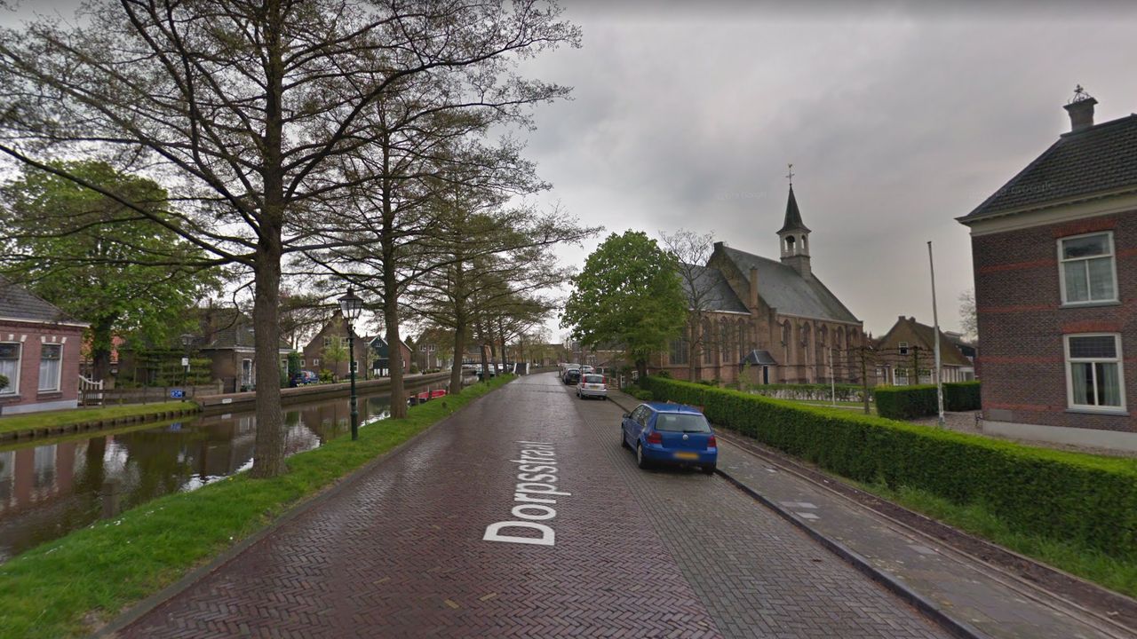 Beeldbepalende elzen Dorpsstraat Schipluiden moeten weg