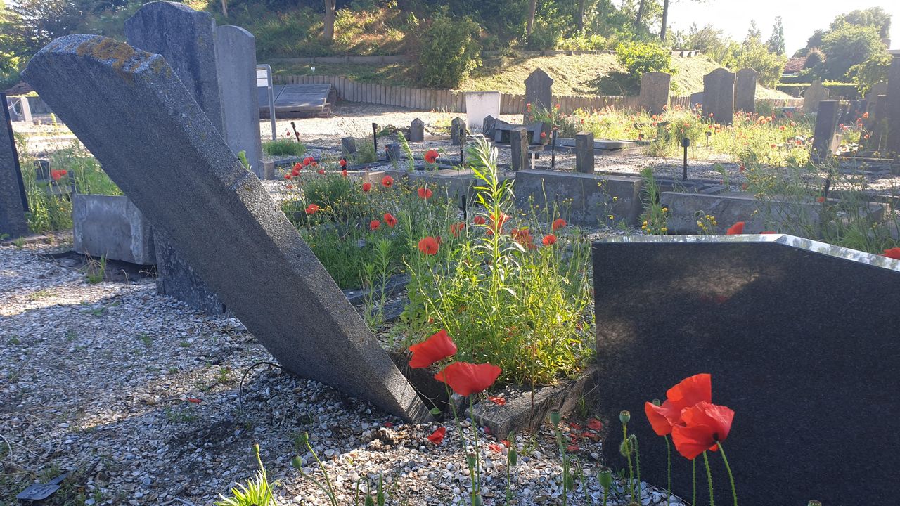 Zes tips over vernielingen begraafplaats 's-Gravenzande