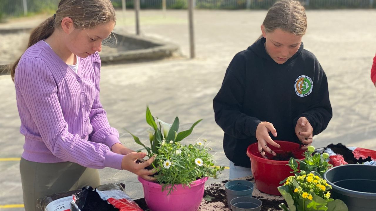 Plantenactie voor duurzaam schoolplein