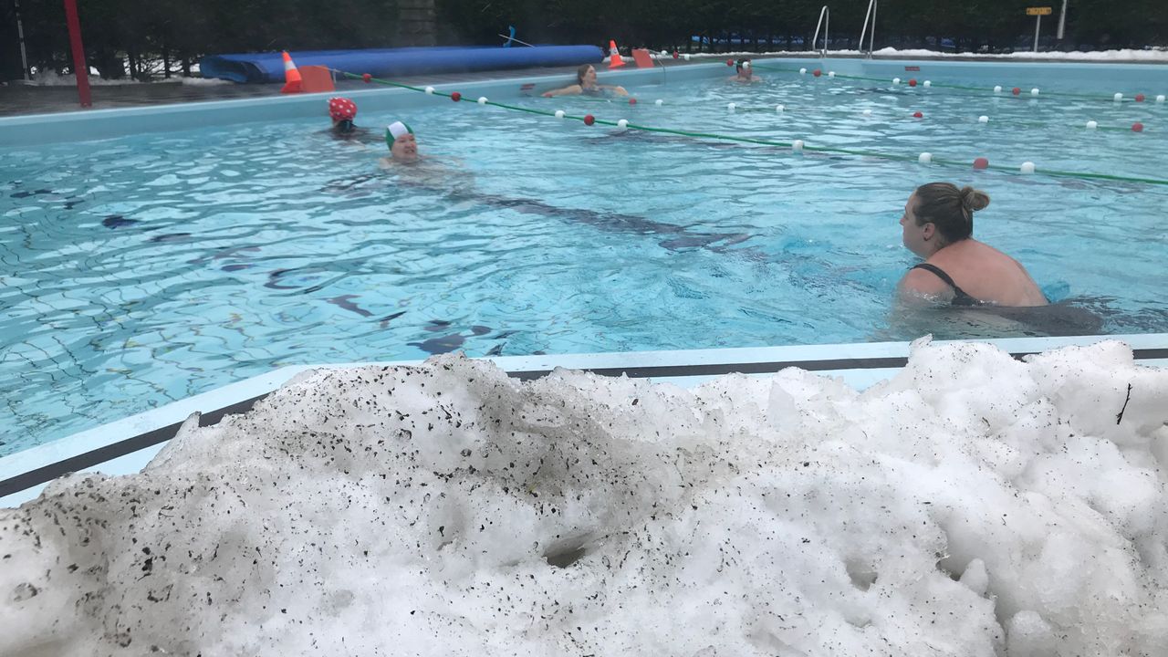 Winterzwemmen in Hoekse badje