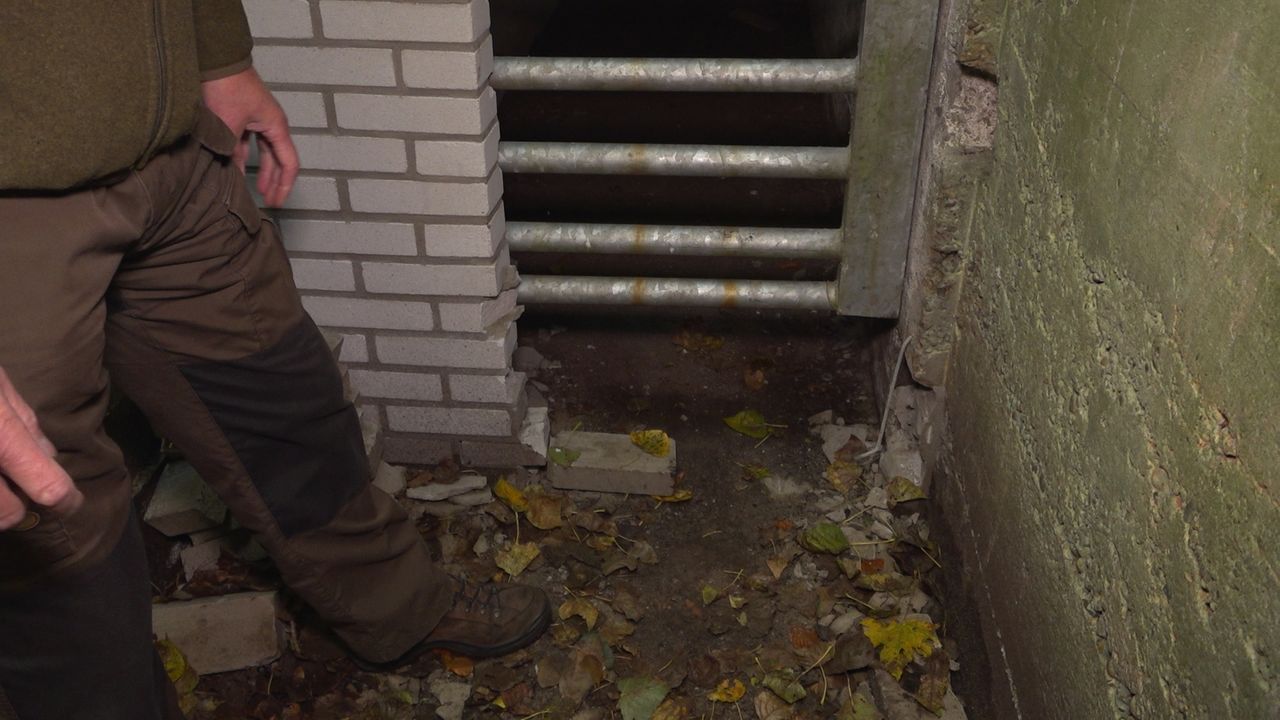 Vleermuizen gestoord door opengebroken bunker