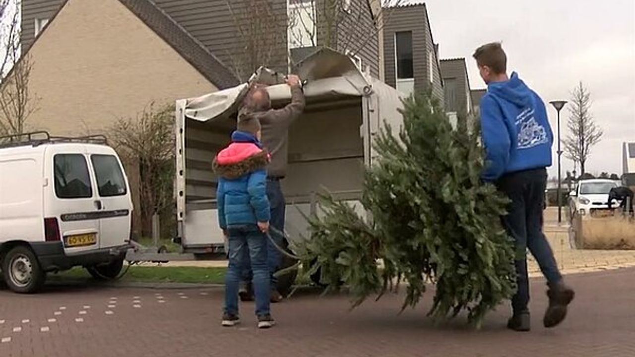 Hoeveelheid van ervaring Betekenis WOS.nl - Kerstboom inleveren? Dat kan op 4 januari