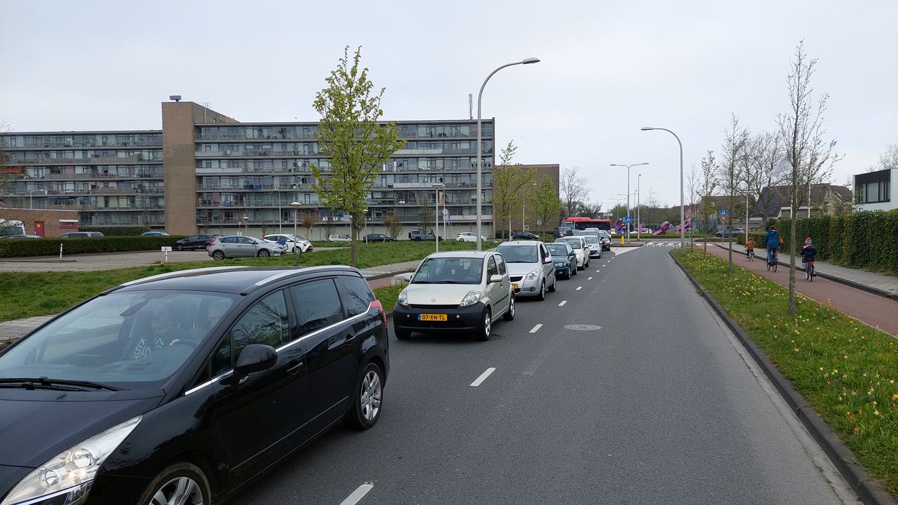 File voor afhalen gratis boompjes in Naaldwijk