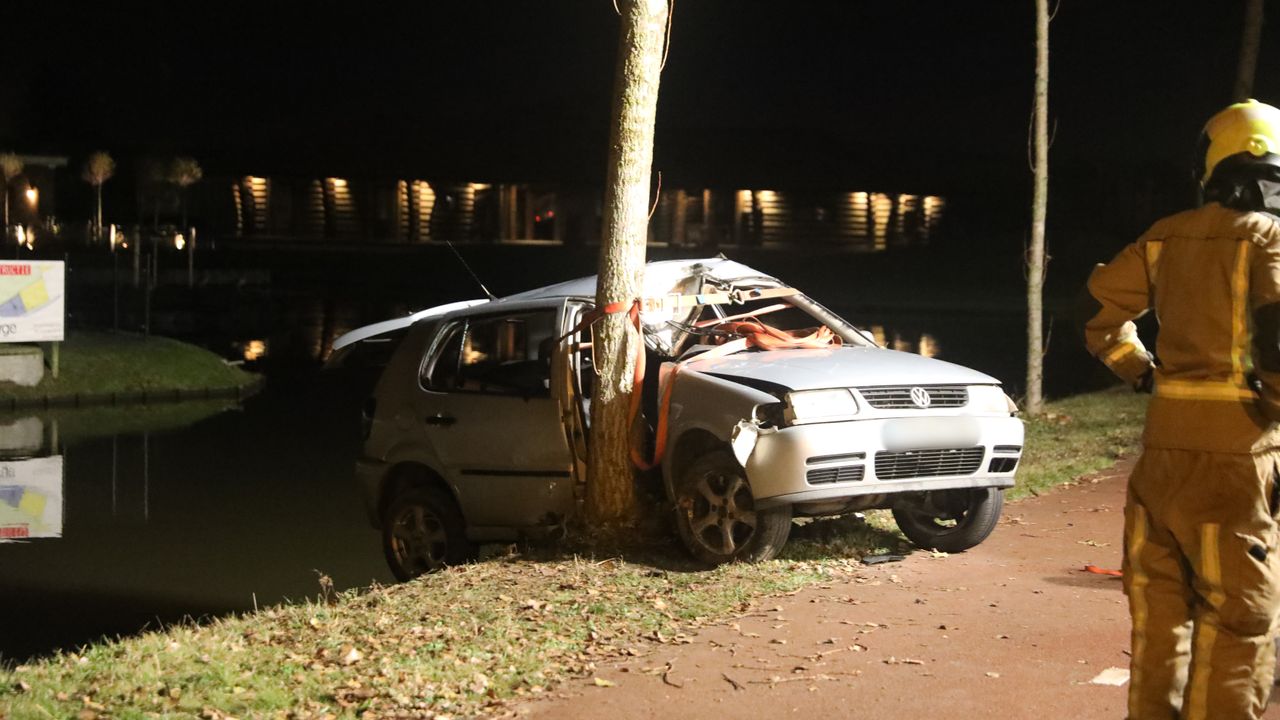Automobilist knalt met slok op tegen boom: taakstraf geëist