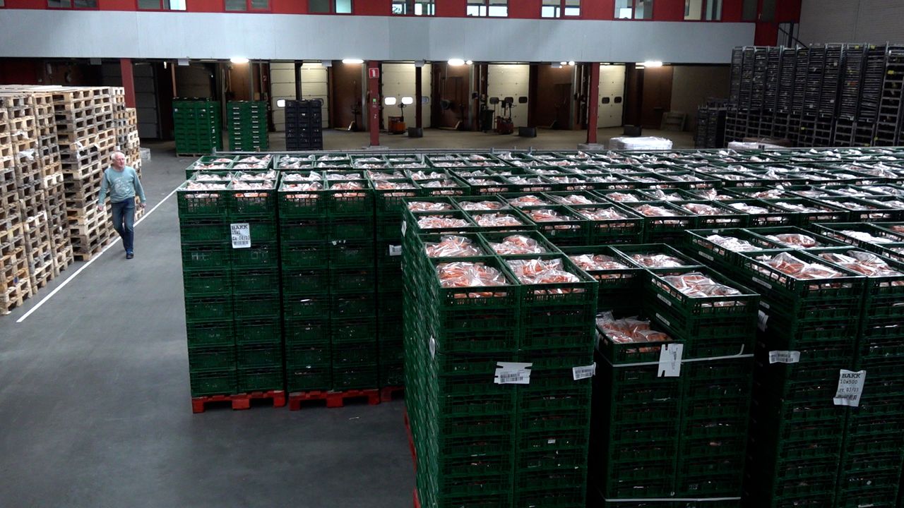 100.000 kilo aardappelen en peen voor voedselbanken: 'Dat is goud'
