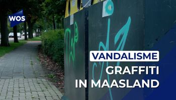 Maasland 'geteisterd' door graffitispuiter