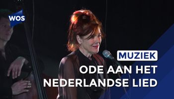 Ode aan het Nederlandstalige lied